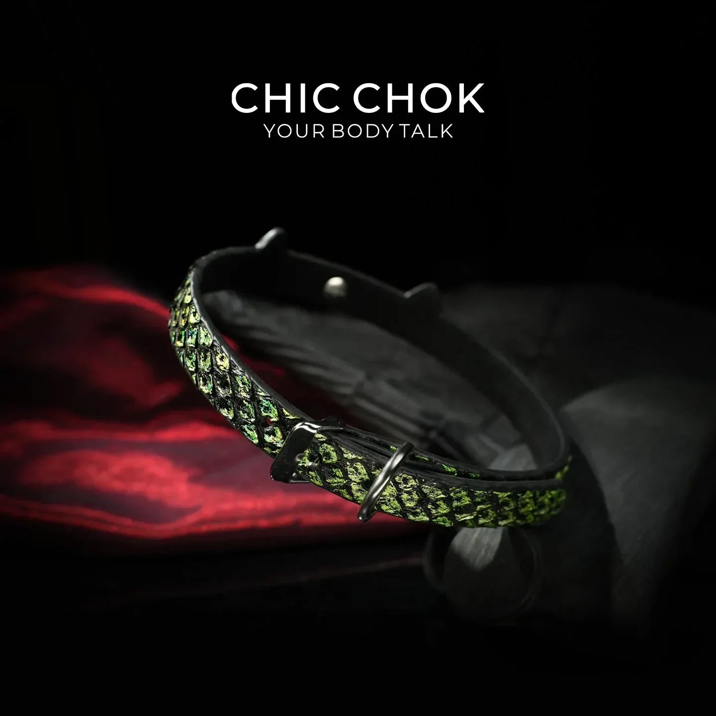 CHIC CHOK The Serpent’s Gaze - CHICCHOK - Choker, collar - Choker
