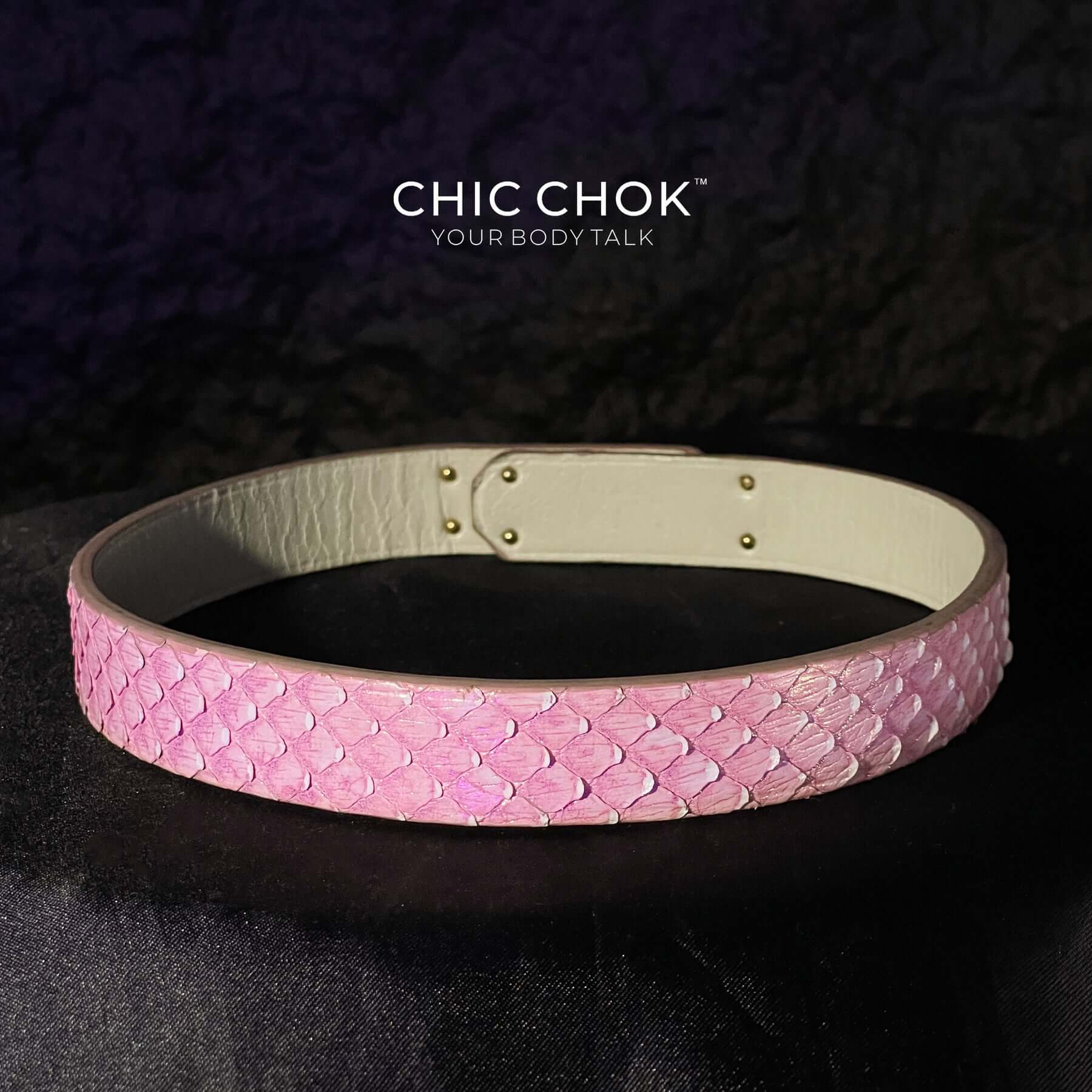 chicchok collar, pink, white, python leather, handmade, gold metal buckle