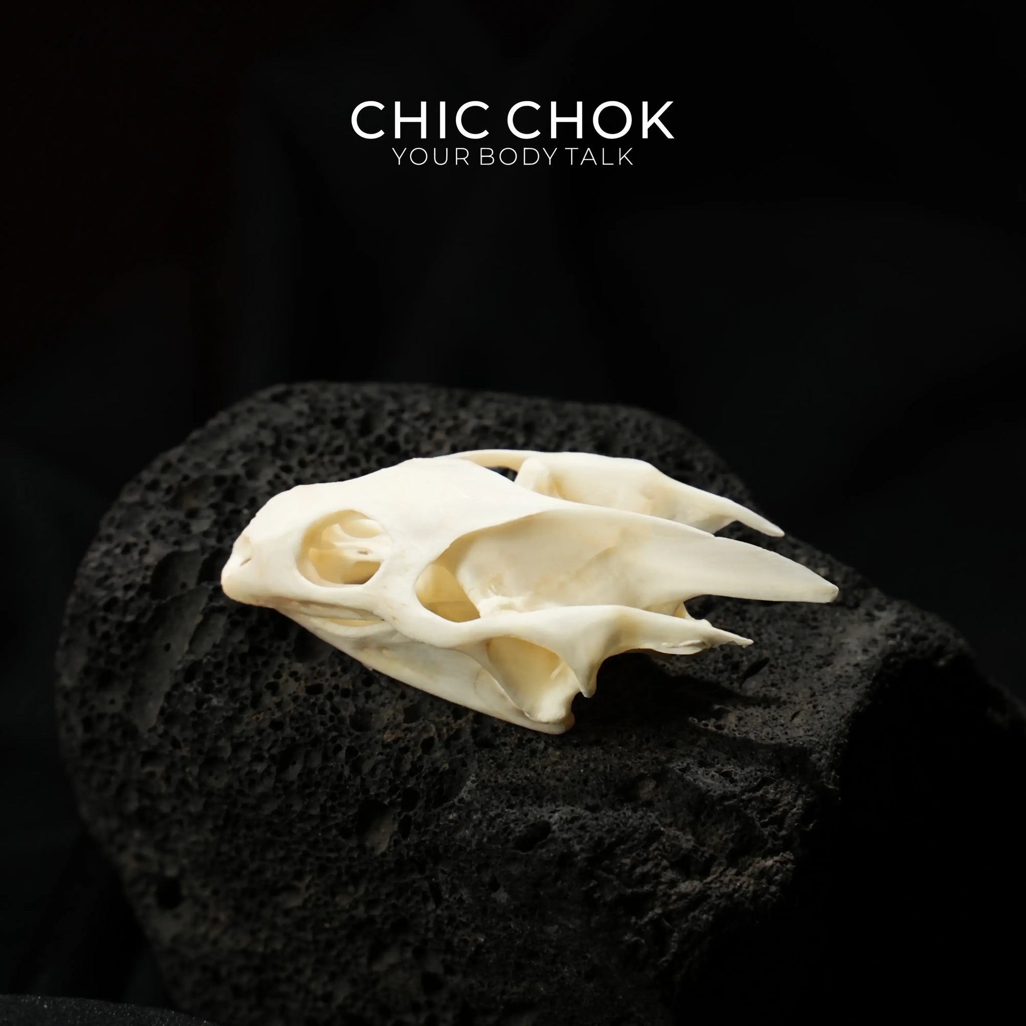 CHIC CHOK Bone Serpent Embracing Sapphire Star - CHICCHOK - - 