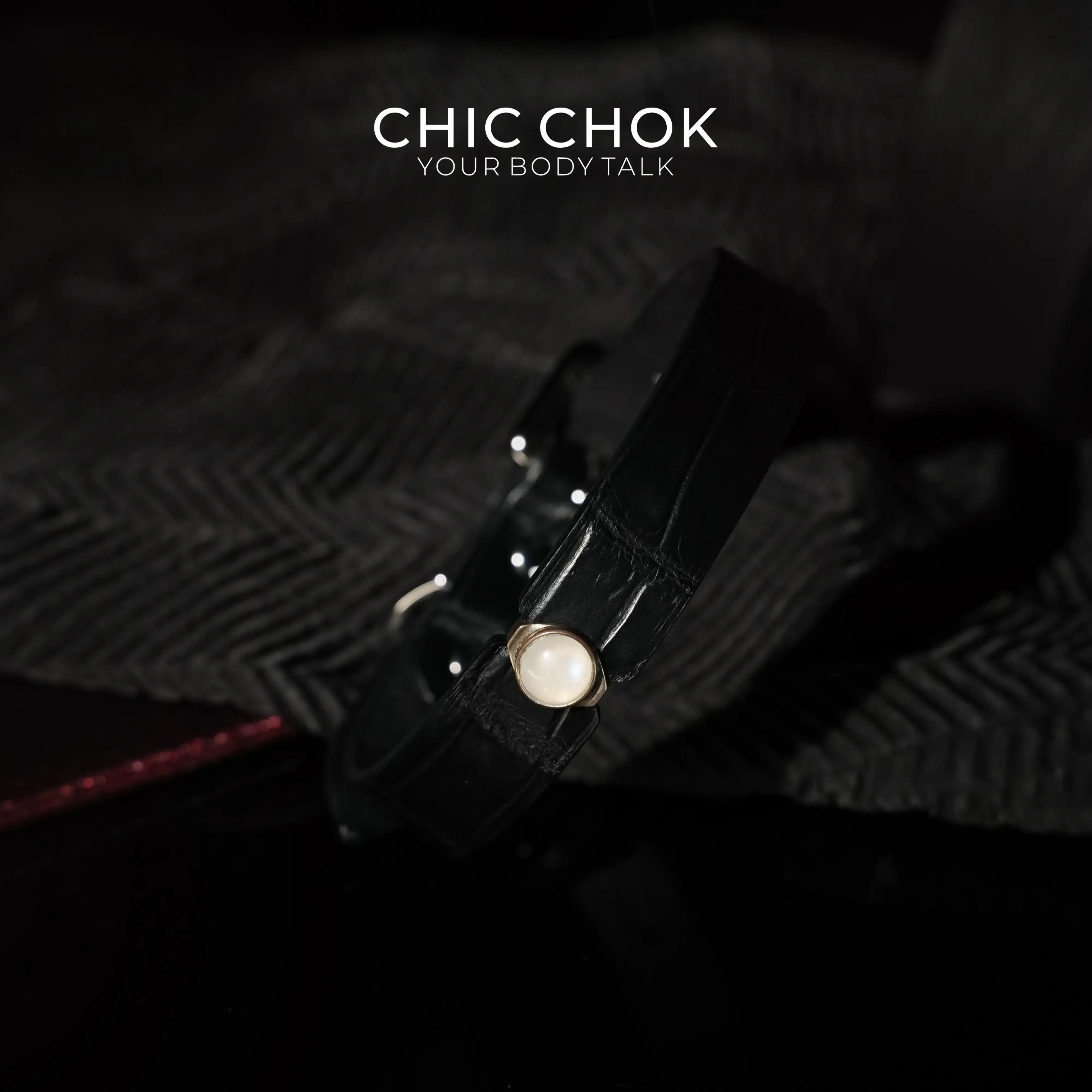 CHICCHOK [Moon Stone] - Choker - CHICCHOK - Choker, collar - Metallic Bracelet