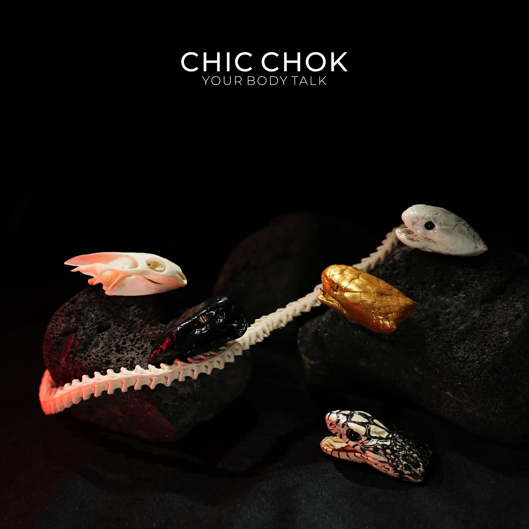 Snake Bone Accessories - CHICCHOK - - Accessories