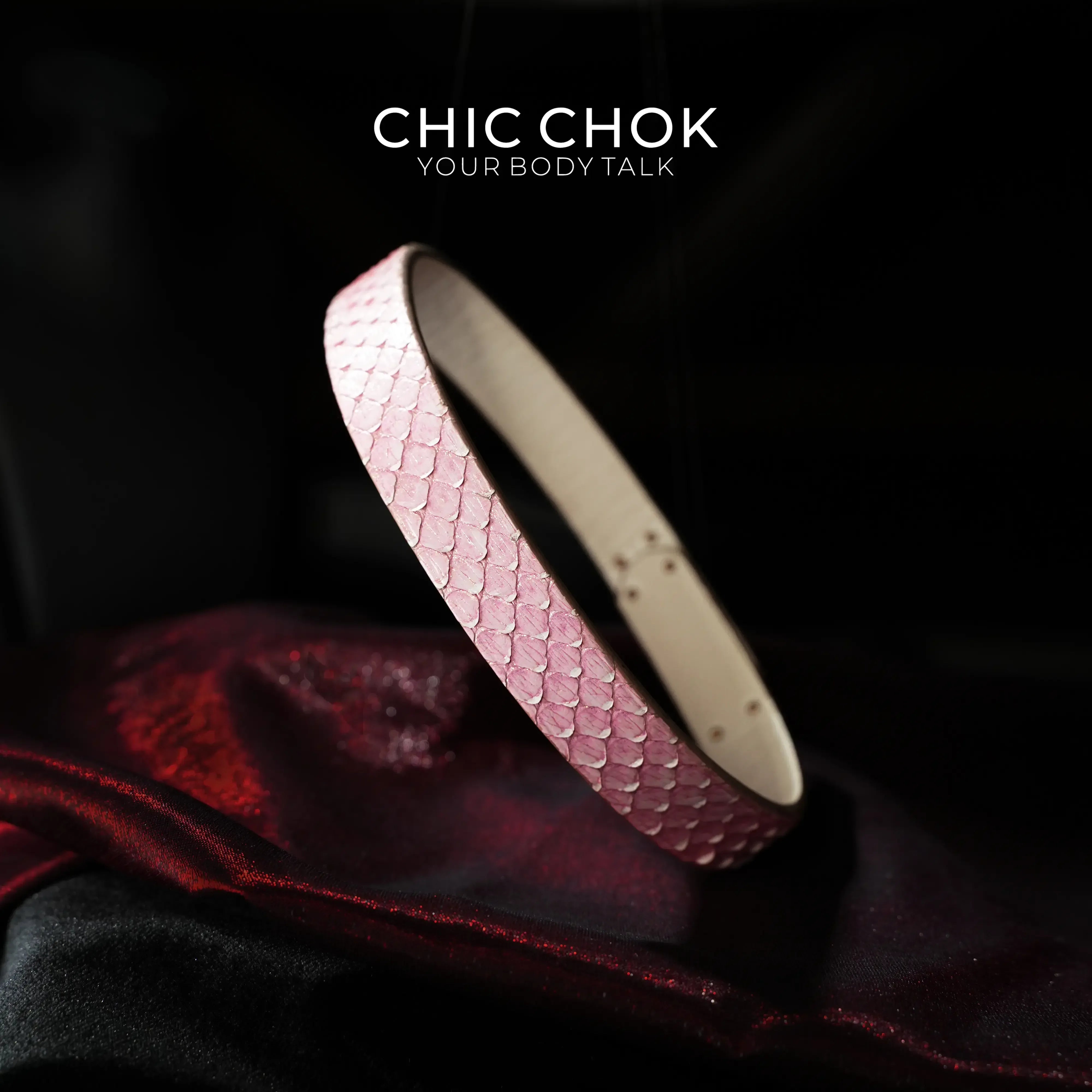 CHICCHOK - Kelly buckle Dimple Choker - CHICCHOK - Choker, collar - Choker