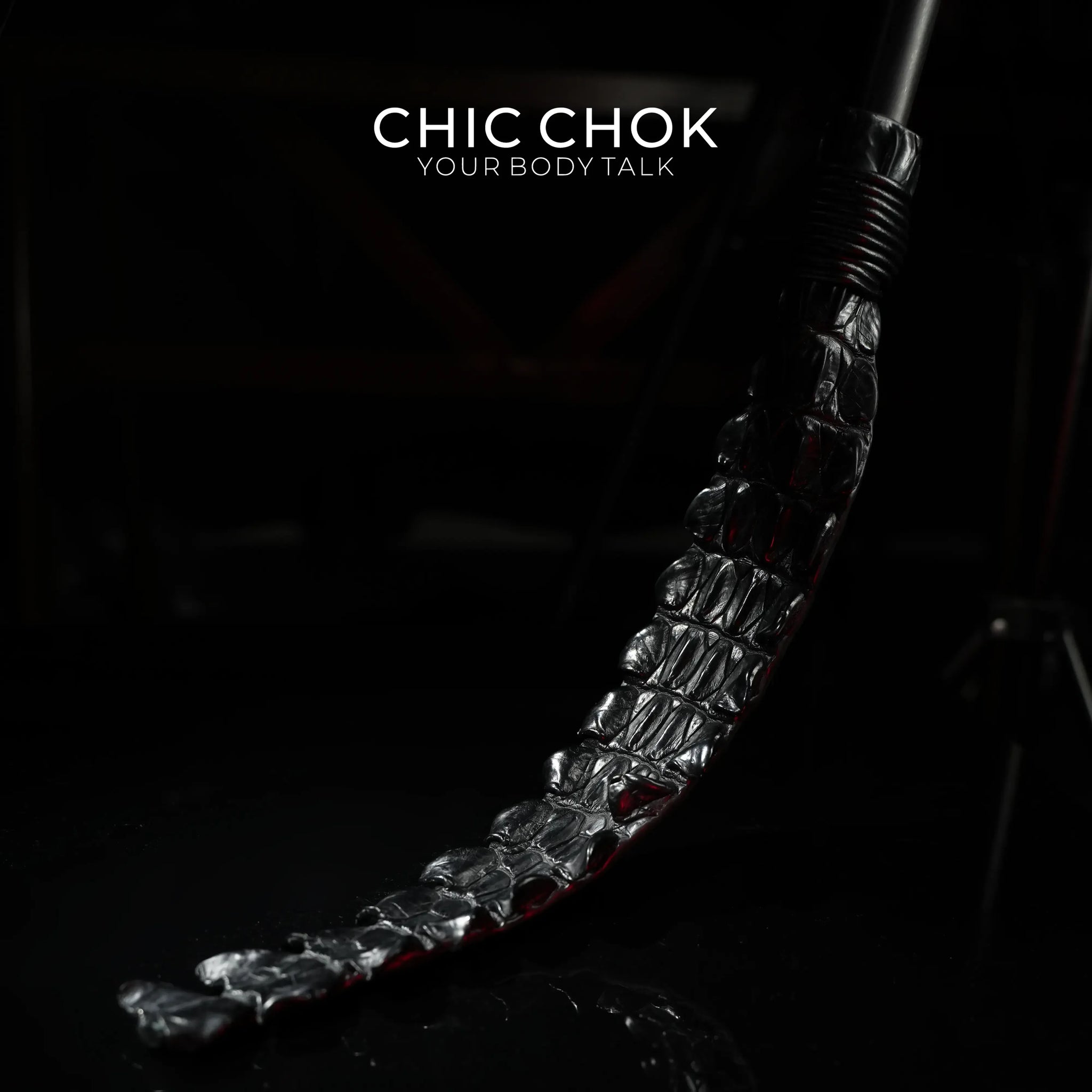 Alligator Tail Whip - CHICCHOK - - Accessories