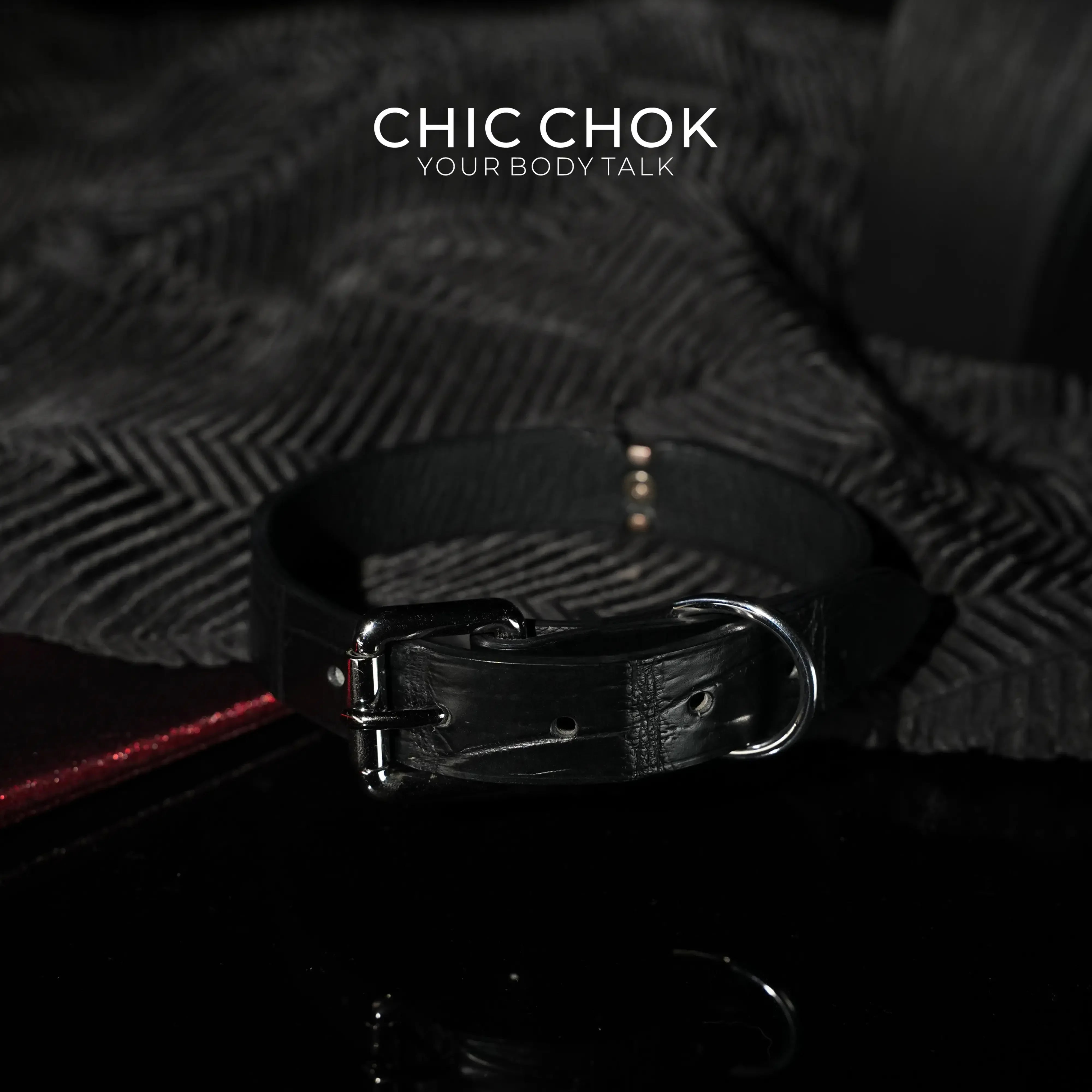 CHICCHOK [Moon Stone] - Choker - CHICCHOK - Choker, collar - Metallic Bracelet