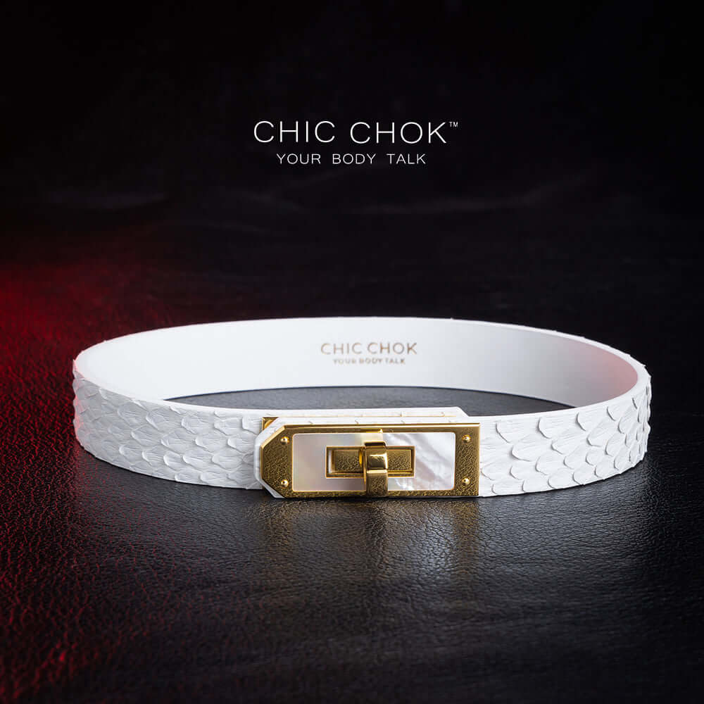 chicchok athena white python hide collar sea shell buckle pure clean elegant design