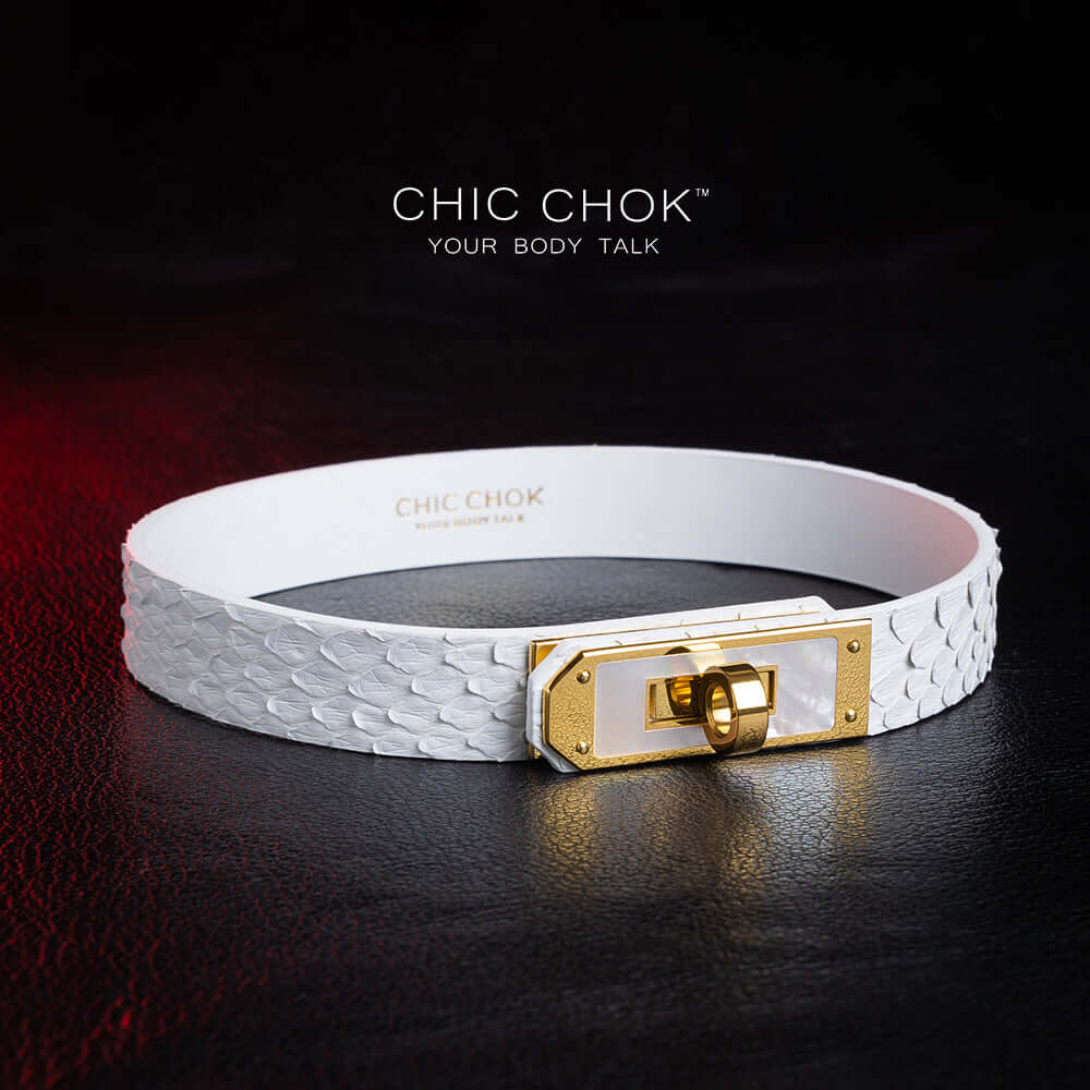 chicchok athena white python hide collar sea shell buckle pure clean elegant design