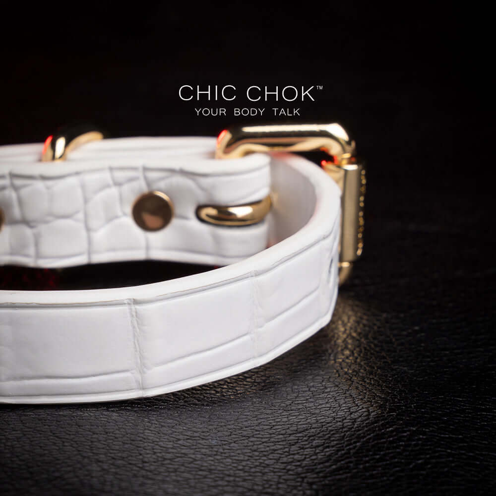CHICCHOK [Daylight Chaser] bracelet, exquisite and timeless charm. Adjustable bracelet made of premium white leather with exquisite crocodile pattern, luxurious and durable.