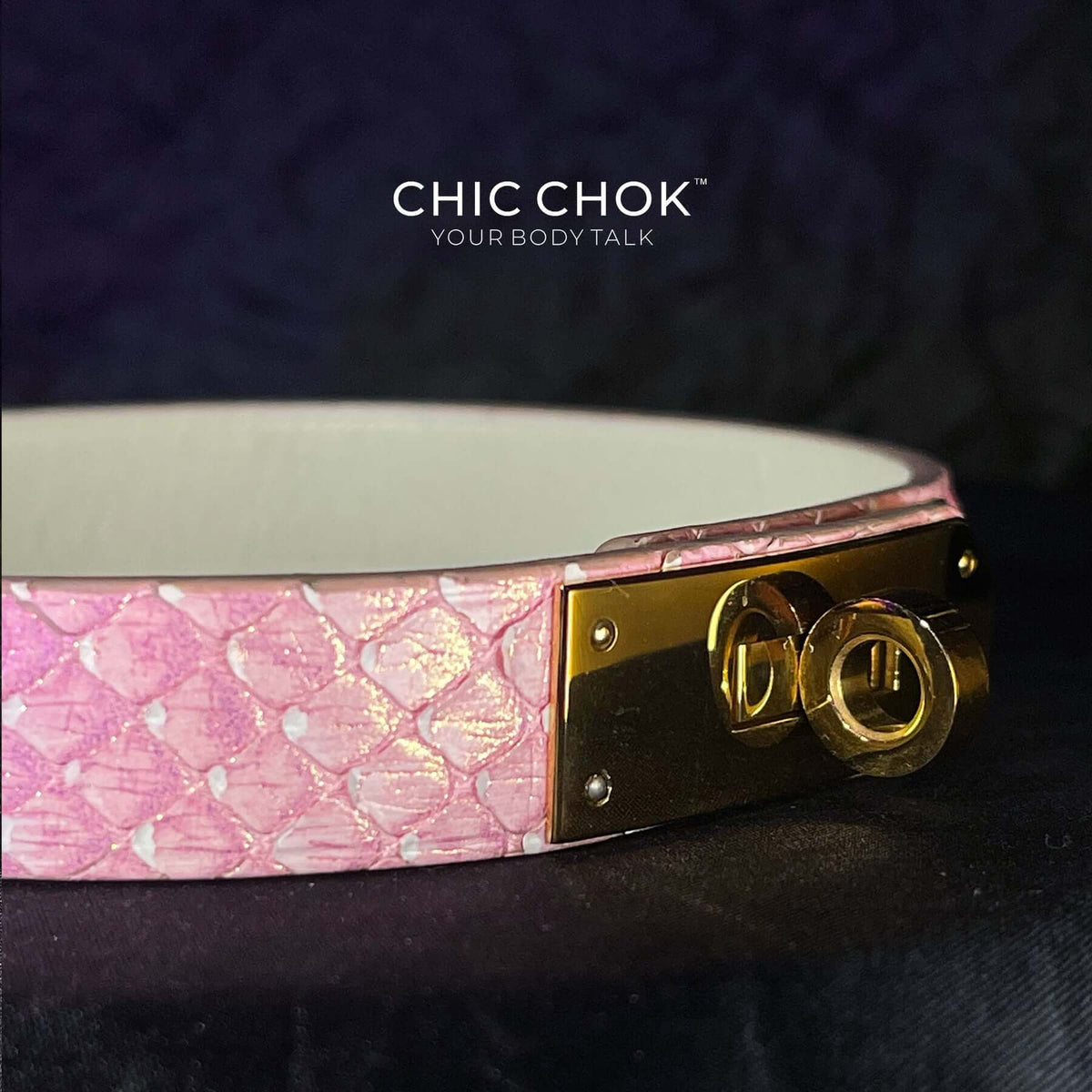 chicchok collar, pink, white, python leather, handmade, gold metal buckle