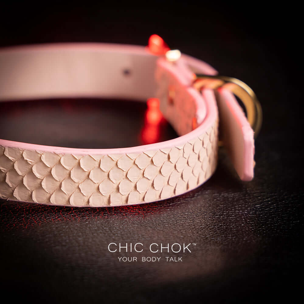 CHICCHOK-pink, collar, bat wings, cute pink, cute girls, comfortable to wear