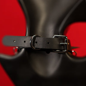Savage collar is unusual in that it boldly challenges conventional aesthetics and combines over-the-top, goth and wild design elements. 