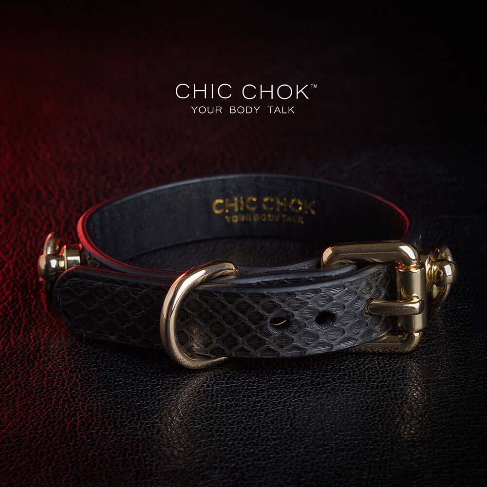 chicchok [Silvana] black snake pattern bracelet, paired with luxurious gold chain and hardware details, noble and individual design style, modern fashion accessories.