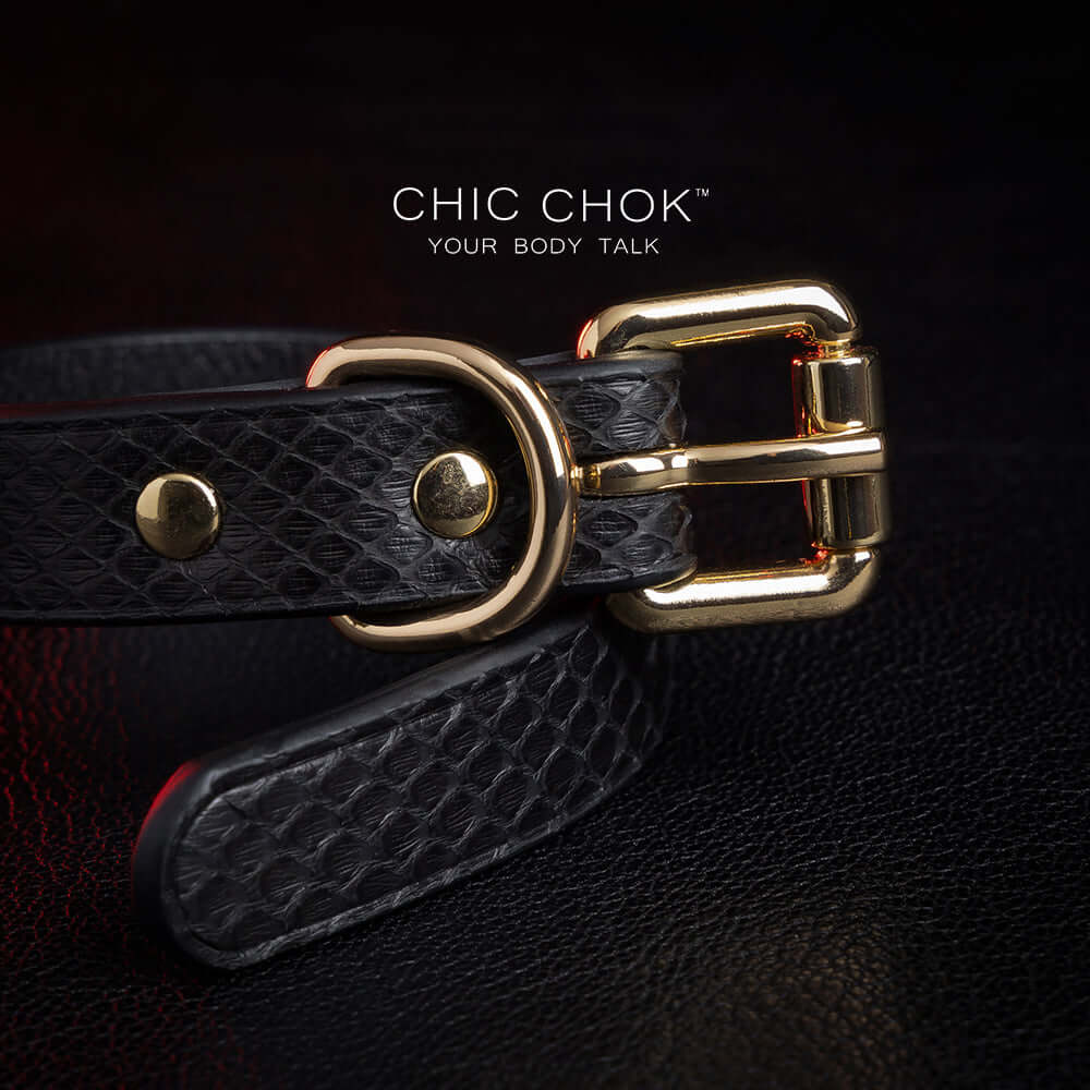 chicchok [Silvana] black snake pattern bracelet, paired with luxurious gold chain and hardware details, noble and individual design style, modern fashion accessories.