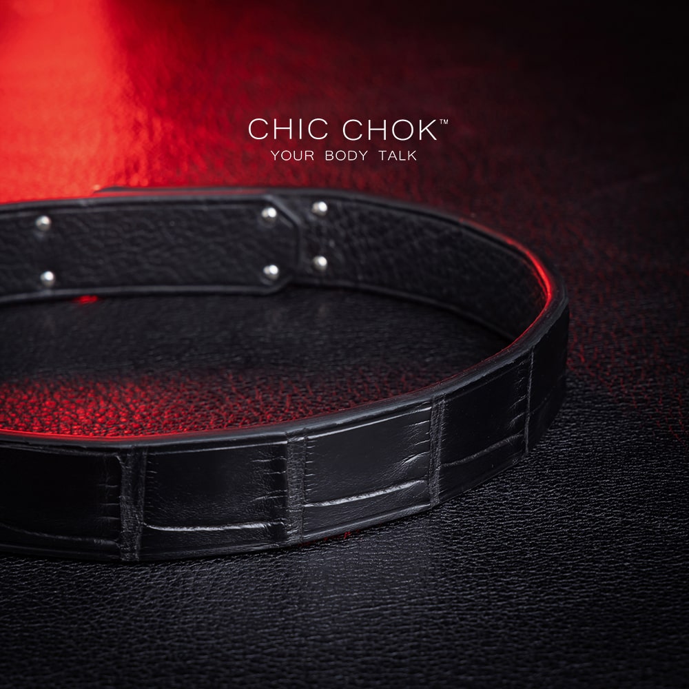 chiccok Stan's Dream Collar Elegant black crocodile leather choker featuring a sleek silver metallic clasp, showcasing premium craftsmanship, rich textures