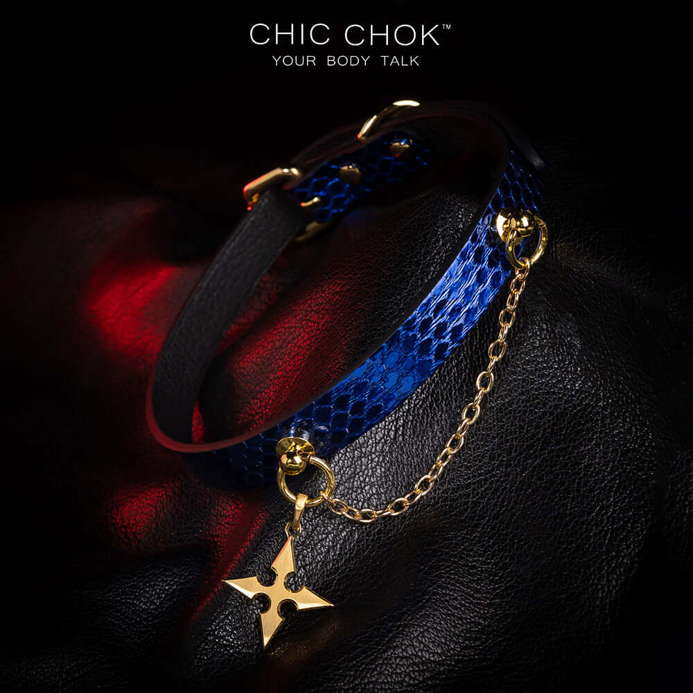 Blue original design collar, role play, star logo