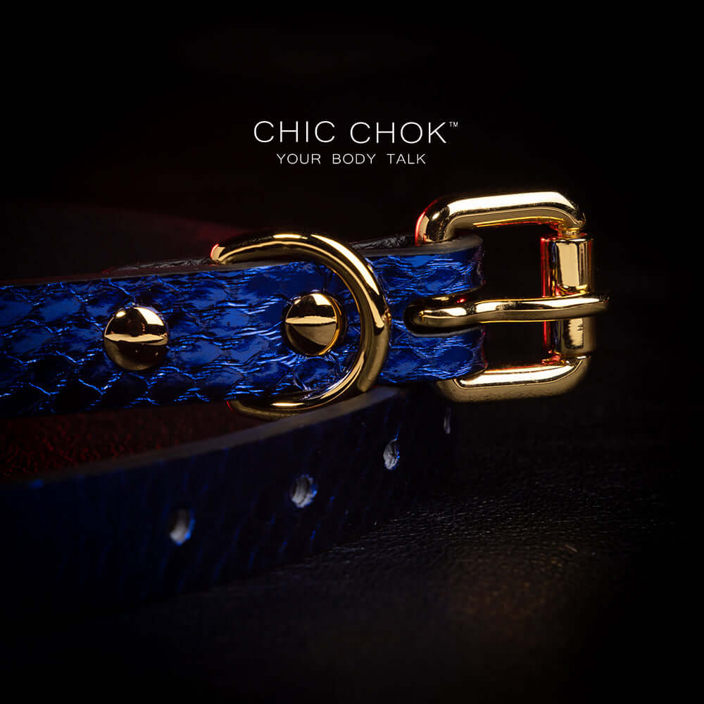 Blue original design collar, role play, star logo
