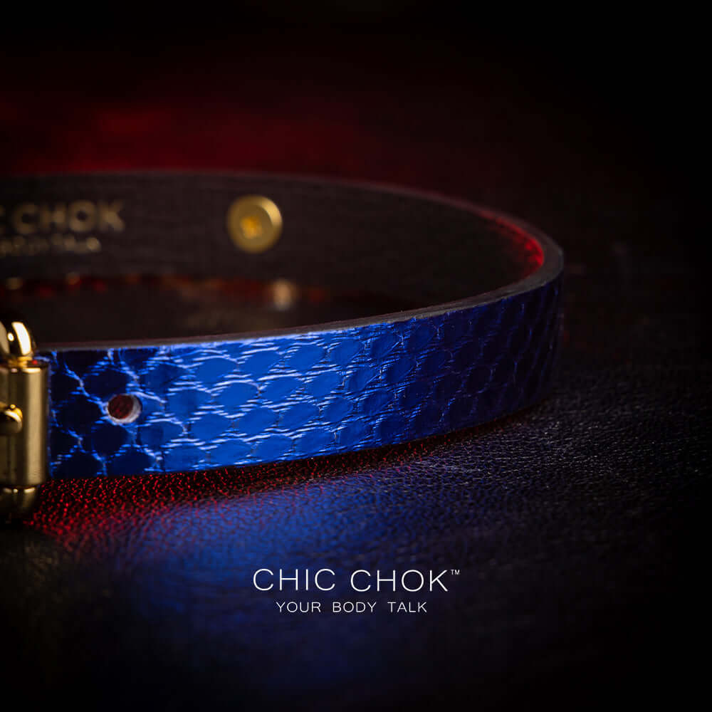Blue original design collar, role play, star logo